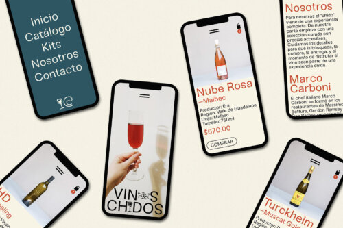 Identity Vinos Chidos — wine shop in Mexico City