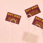 The visual identity for Shy Bird