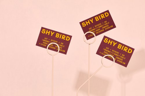 The visual identity for Shy Bird