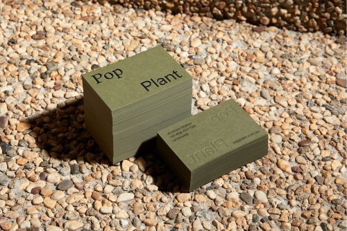 Rebrand for plantscapers Pop Plant utilises their scientific know-how and aesthetic prowess