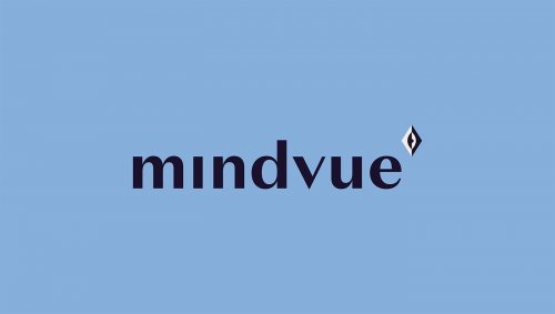 The new visual identity for Mindvue