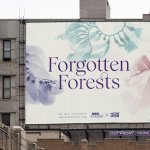 Forgotten Forests campaign