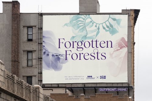 Forgotten Forests campaign
